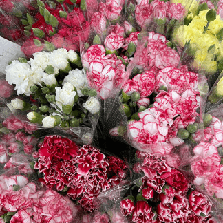 Mini Clavel