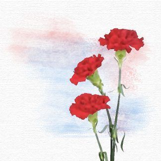 Clavel