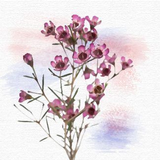 Flor de Cera