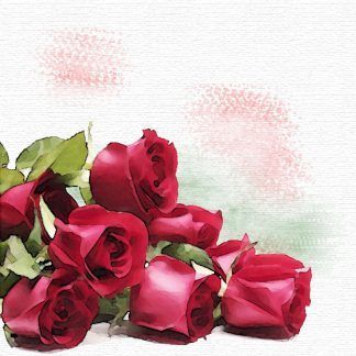 Rosas Importación